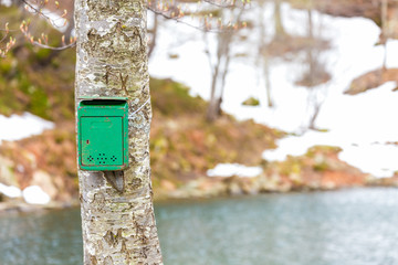 the old green mailbox