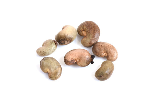 Cashew nut with peel