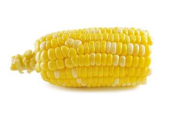 Corn isolated on a white background