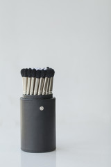 Collection brushes for make-up