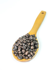 Coffee beans on a wooden ladle