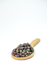 Coffee beans on a wooden ladle