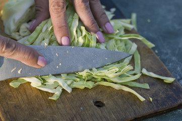 Chopping Cabbage