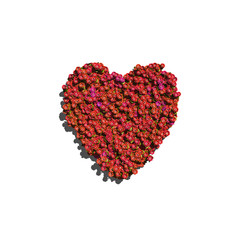 Plakat red heart create by flowers white background