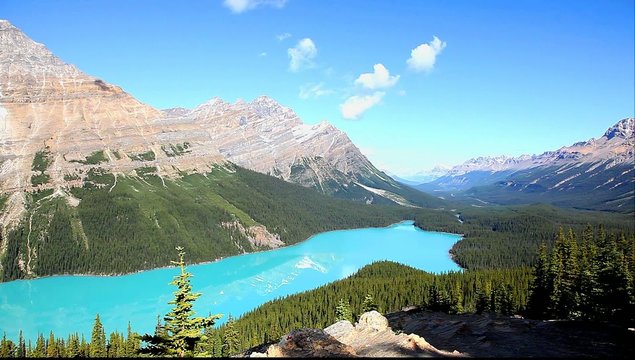 Peyto lake. Banff National park. Alberta. Canada