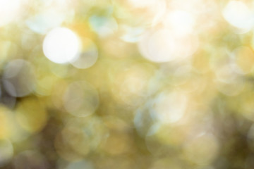 Obraz premium Bokeh,blurred bokeh.