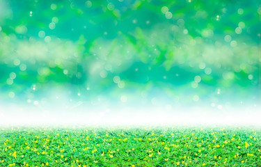 Obraz premium Green clover and yellow blossom under blurred bokeh abstract fro