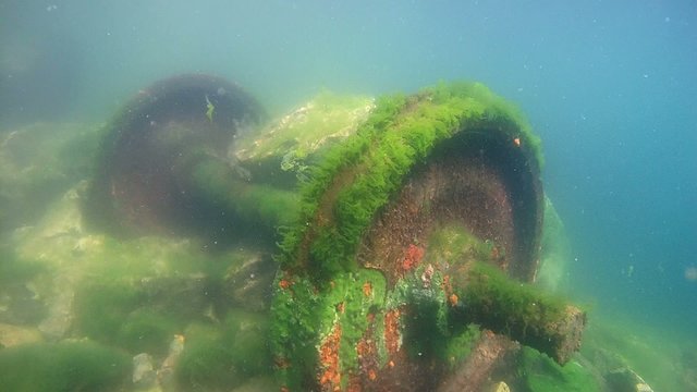 Wreck railway car, Circum-Baikal Railway, Siberia,  Lake Baikal