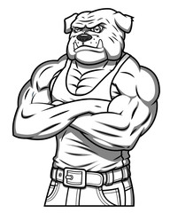 Strong muscle aggressive bulldog 2