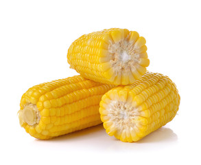 corn on white background