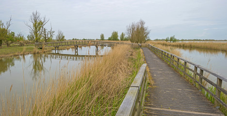 Wooden bridge over a river in spring