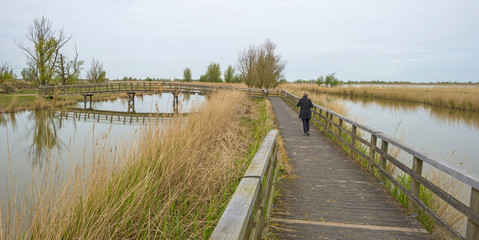 Fototapeta premium Wooden bridge over a river in spring