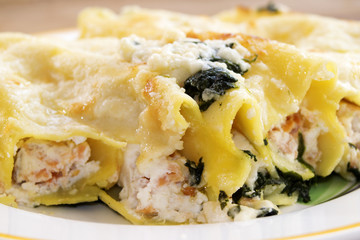 stuffed cannelloni