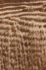 Natural sand patterns in beach