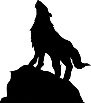 illustrazione di un lupo che ulula in montagna