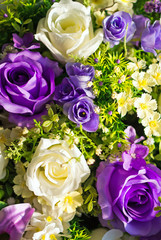 artificial flowers rose in soft light