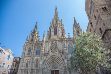 Naklejka premium Barcelone - Cathédrale Sainte-Croix