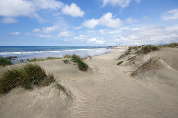 Dune and beach on the north of Portugal