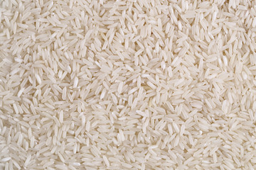 Grains of rice. Close-up
