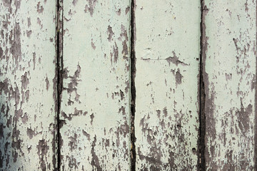 Old green paint on wooden door background