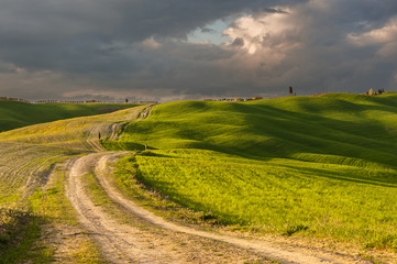Fototapeta na wymiar Beautiful fields, hills and roads of Tuscany, Italy