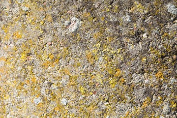 Old destroyed concrete wall background