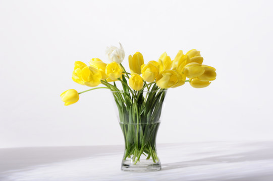 beauty, bouqet, tulips, easter, flowers, petals, yellow,