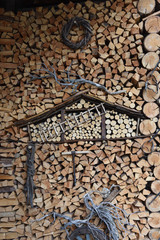 Fototapeta na wymiar catasta legna giardino legno taglialegna 