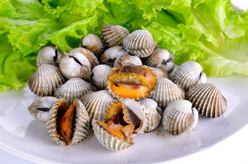 Boiled cockles with lettuce