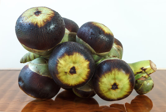 Asian Palmyra palm, Toddy palm, Sugar palm and Cambodian palm