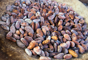 Cocoa beans