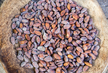Cocoa beans