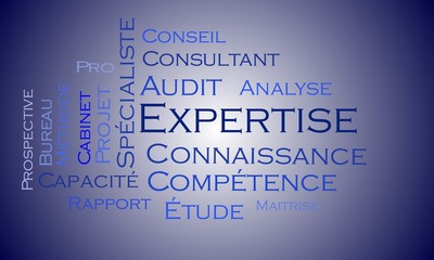 Nuage de mots Expertise
