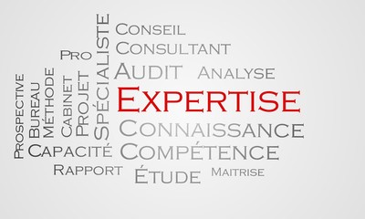 Obraz premium Nuage de mots Expertise