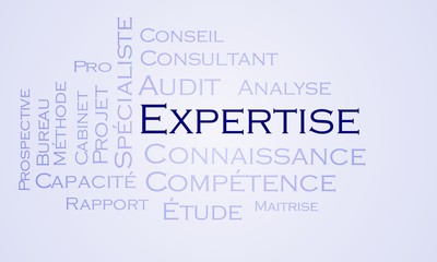 Nuage de mots Expertise