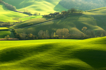 Pastoral green field with long shadows in Tuscany, Italy - 83031148