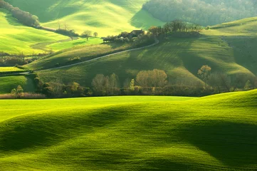 Tuinposter Pastoral green field with long shadows in Tuscany, Italy © Jarek Pawlak