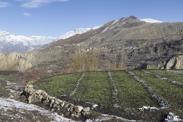 Landscape of Muktinath village in lower Mustang District, Nepal