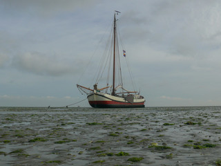 Fototapeta premium Segelschiff im Watt