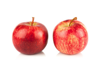 Red apple on white background
