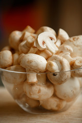 mushrooms champignon tomato white mushroom