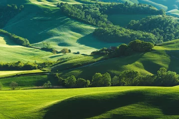  Green fields in spring sunny day © Jarek Pawlak