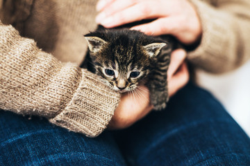 Man holding a tiny little tabby kitten