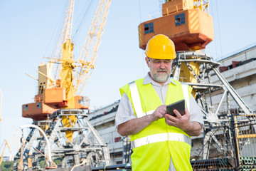 Engineer at a construction site in the port