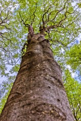 Fototapeta premium Naturschautzgebiet