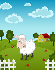 Funny sheep eating flowers and grass on farm landscape