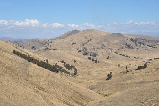 Altiplano. Bolivia