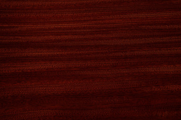 Fototapeta premium wood texture