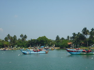 Fototapeta na wymiar blue fishing boats near coast with palms 