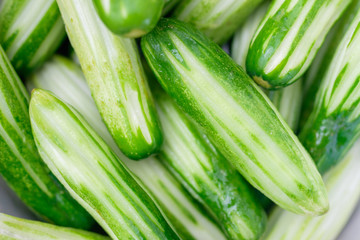 fresh green cucumber